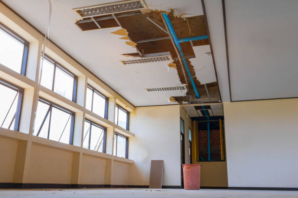 Carpet water damage restoration in Grand Marais, MN