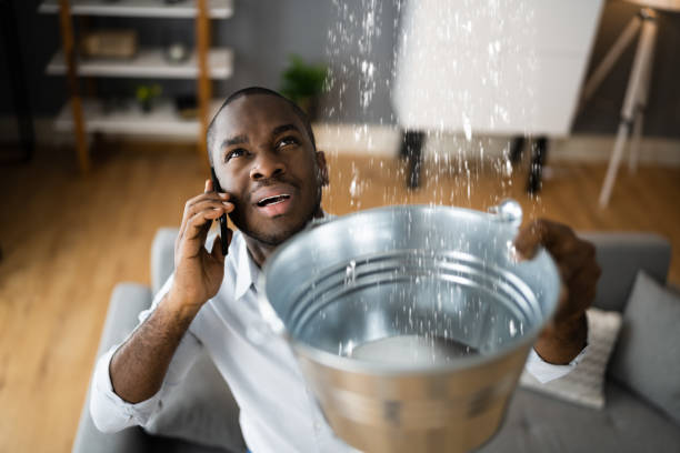 Best Water damage contractors near me  in Grand Marais, MN