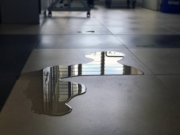 Best 24-hour water damage restoration  in Grand Marais, MN