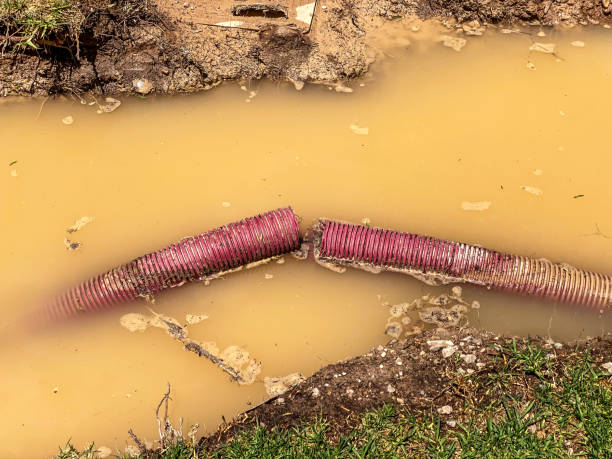 Best Water damage restoration cost  in Grand Marais, MN