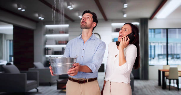 Trusted Grand Marais, MN Water damage restoration Experts