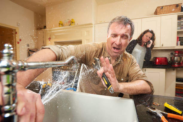 Best Water damage cleanup near me  in Grand Marais, MN